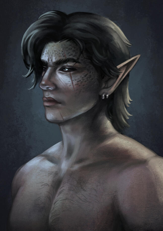 Sylvarus the High Elf Sorcerer